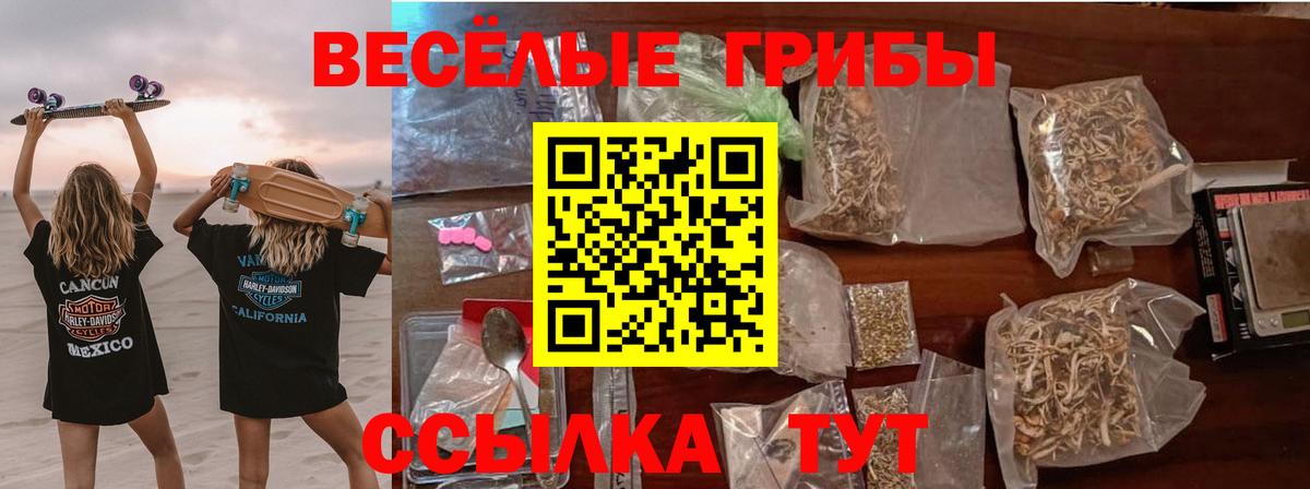 Псилоцибиновые грибы Magic Shrooms  Вход с VPN  Балашиха  Псилоцибиновые грибы Magic Shrooms 